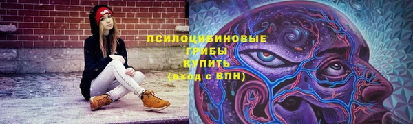 2c-b Костерёво