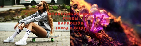 2c-b Костерёво