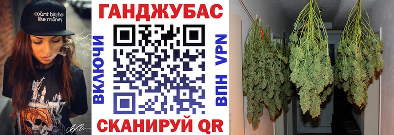 Купить закладки  Буй  Бошки марихуана семена 